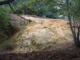 Sandstone outcrop, Westcott Heath